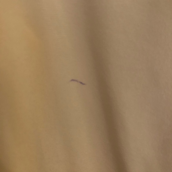 Rebecca Taylor blouse, antiqued white color, smaller fit - Picture 4 of 4